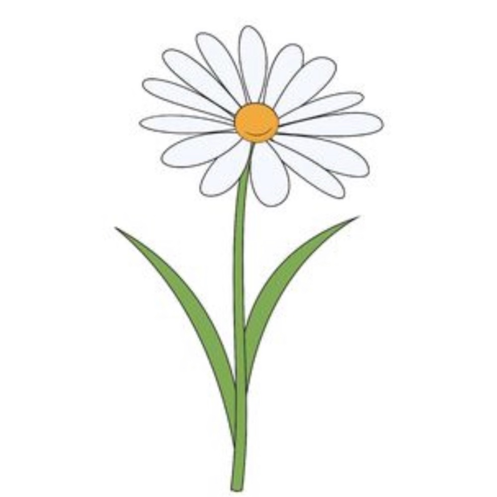 Meet your Posher, Daisy